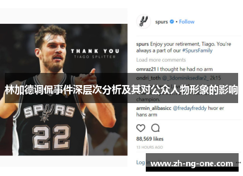 林加德调侃事件深层次分析及其对公众人物形象的影响