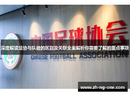 深度解读足协与队徽的区别及关联全面解析你需要了解的重点事项