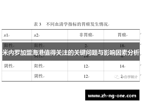 米内罗加盟海港值得关注的关键问题与影响因素分析