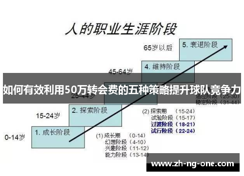 如何有效利用50万转会费的五种策略提升球队竞争力